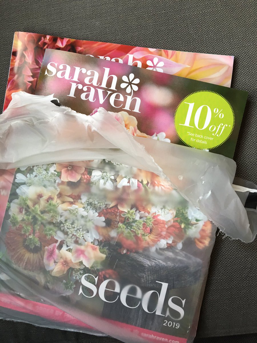 Sabrina Wolfe tweet media