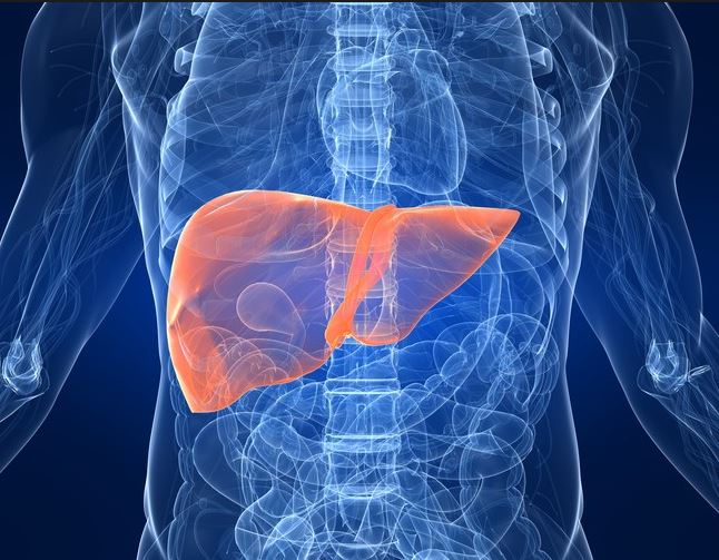 The silent killer affecting 30 million Americans- a $35 billion dollar race to find a cure

cnbc.com/2018/12/21/the…

#NAFLD #NASH #livermtg18 #wednesdaywisdom