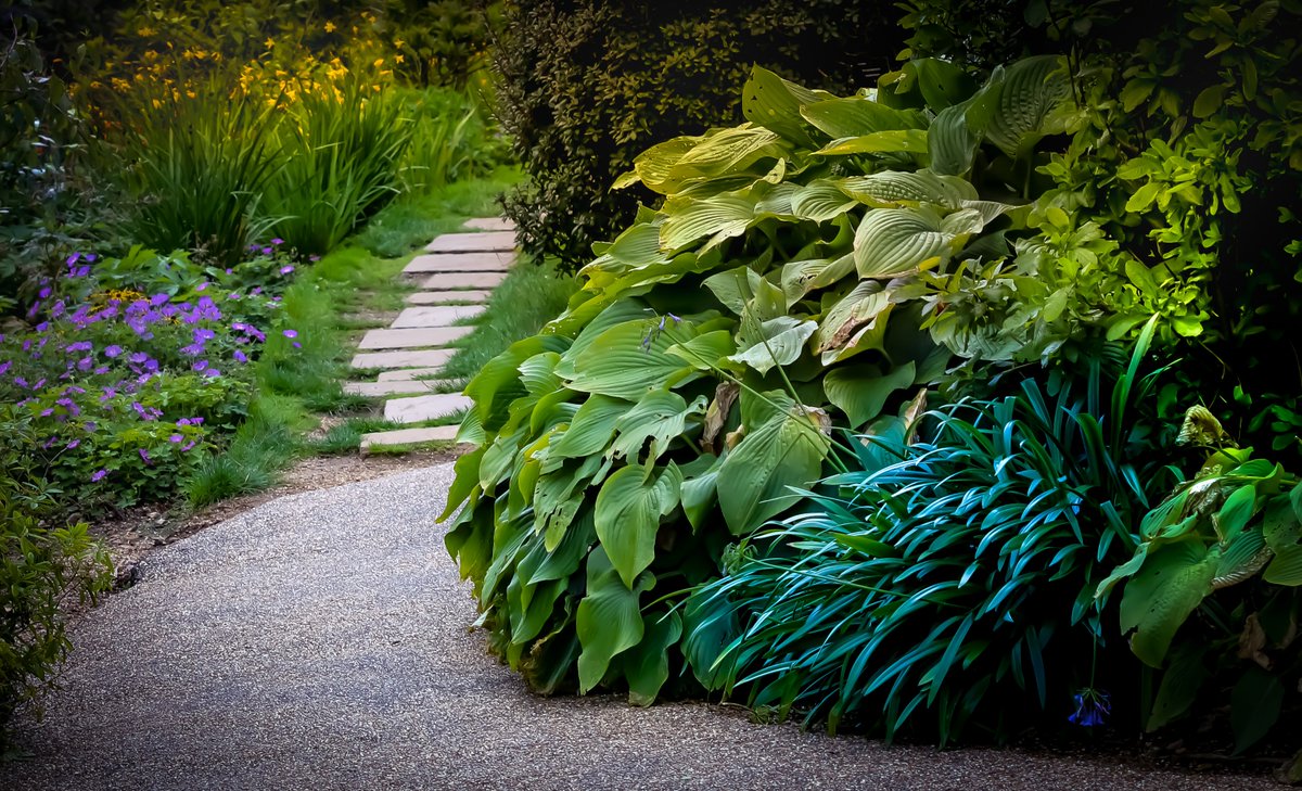Where does the flower path take you?
https://www.redbubble.com/people/jakehallphotos/works/36045085-flower-path?asc=u&ref=recent-owner …
-
https://jakehall.photography/
#photography #designer #photographer