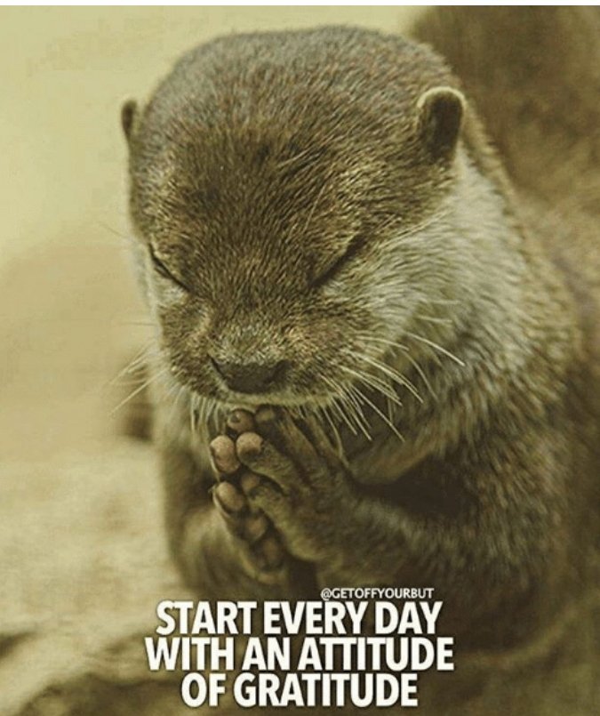 Msjuly1977's tweet photo. Good morning new day! I am ready to be better than I was yesturday. I am my own competition. Let's go! #dotell #popup #catering #goodeats #foodlife https://t.co/UiB4n5WISm