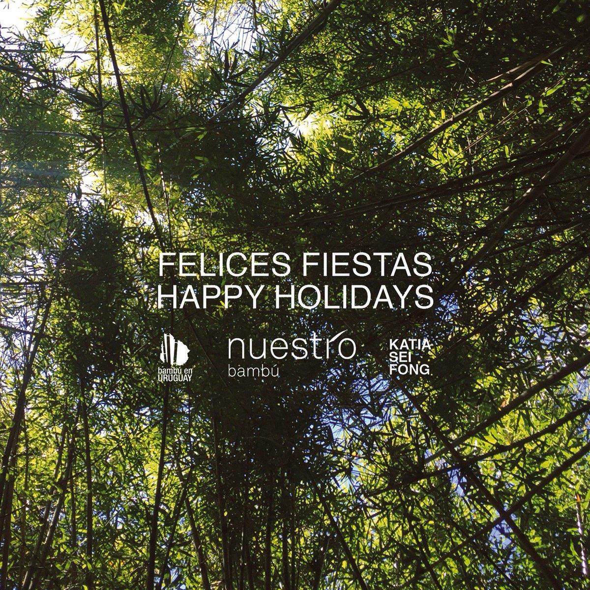 nuestrobambu's tweet image. Feliz 2019.. que el bambú siga creciendo! #bambooisgrowing #worldbambooambassador #embajadoradelbambu #livingfutureambassador #doer #ylaibamboo #ylai #ilfi #bloombamboo #worldbamboo #impactobambu #expandyourvoice #keepbamboostrong #thinkbamboo #nuestrobambu #bambuenuruguay