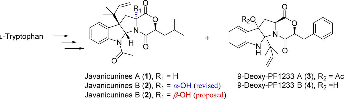 Total Synthesis tweet media