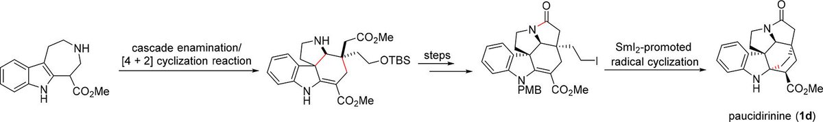 Total Synthesis tweet media