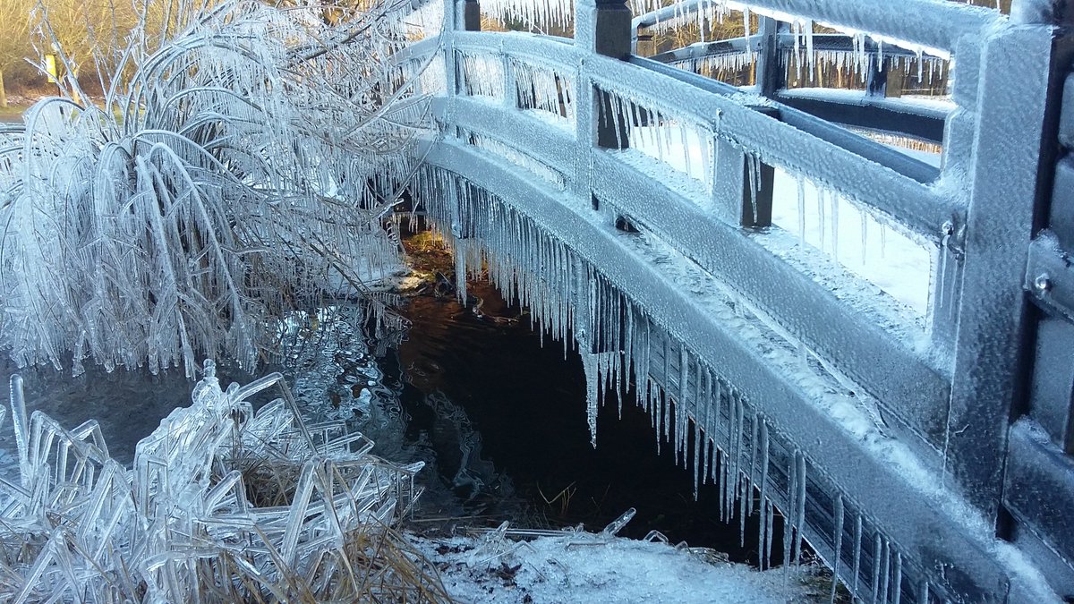 Happy New Year to you all! Welcome to 2019 and all the hope, opportunity and collaboration it may bring for the benefit of wildlife and humans alike . #newyear #wildlife #conservation #protection