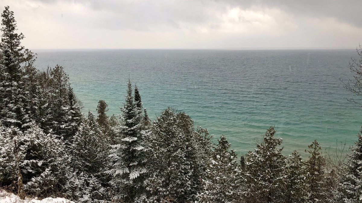 tunneloftrees's tweet image. Water winter wonderland. ❄️🌲🙌🏽 #TunnelofTrees #M119