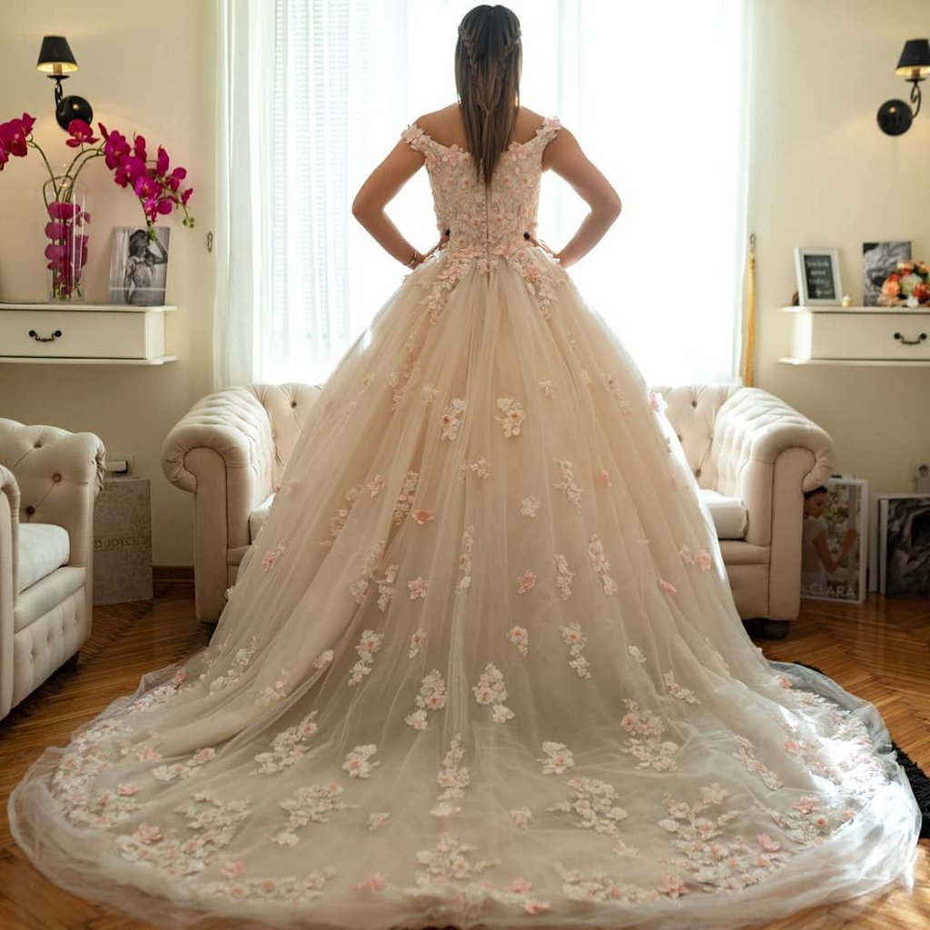 DemetriosBride's tweet photo. Cloe gown's pink floral embellishments transport us to the most dreamt of fairy tales...🌸🌸Amazing photo by @citybrides_vencanice Dress details: https://t.co/kdC2TmQUB9 #DemetriosBride
...

#Demetrios #WeddingDress #fashion #wedding #bride #weddinggown #bridalinspo #futurebride https://t.co/0rI9nxy1wD