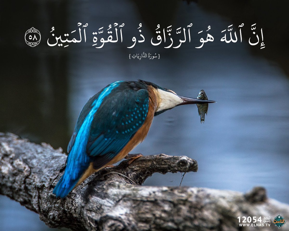 اللهم ارزقنا من حيث لا نحتسب وبارك لنا فيما رزقتنا