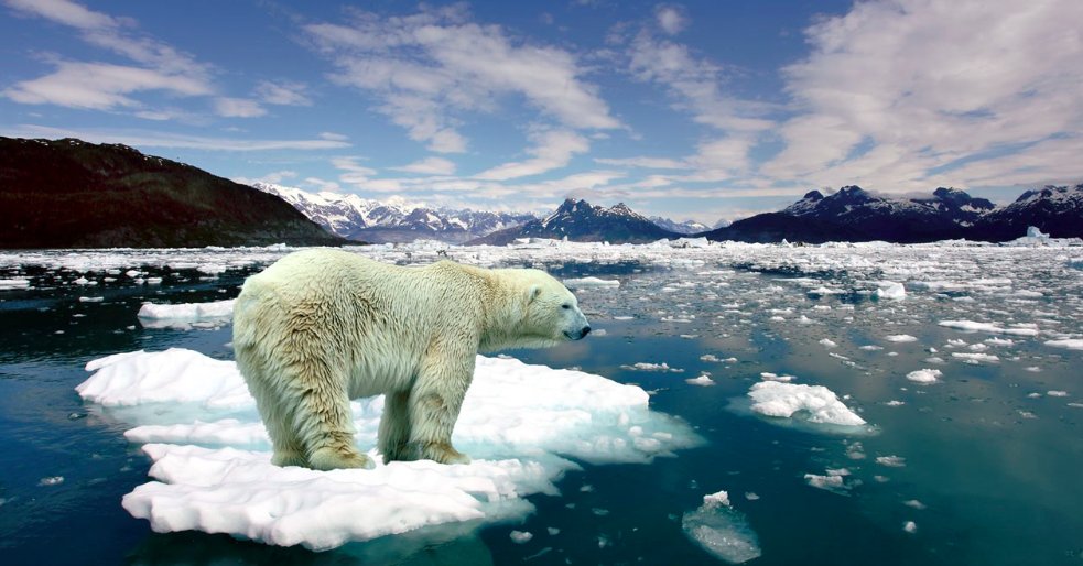 Let us be hopeful about the environment in 2019. Watch: bit.ly/2CJTkAK now and watch one man's brave fight against coal's toxic threat.