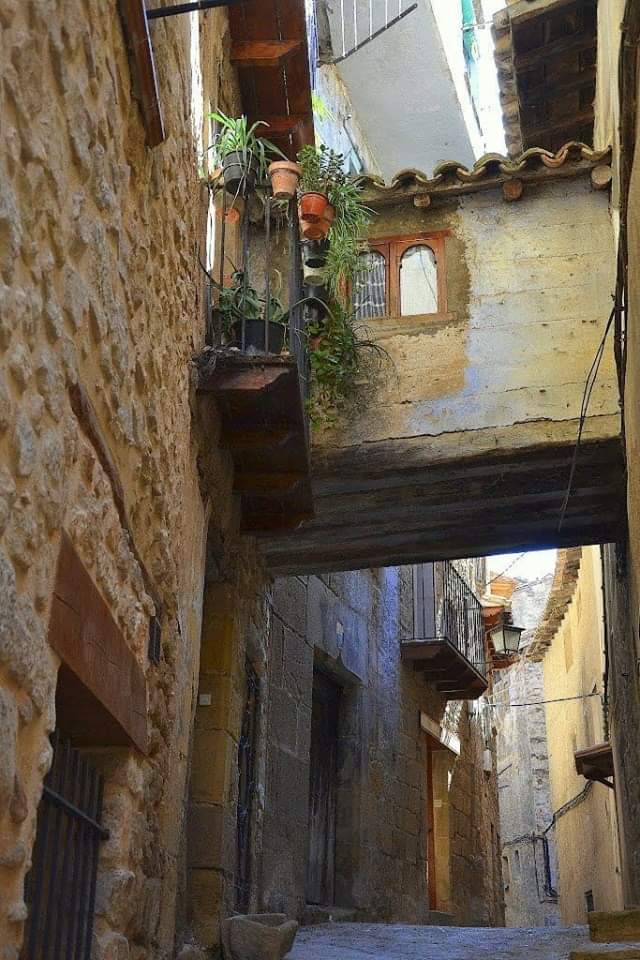 Miguel Calabria tweet media