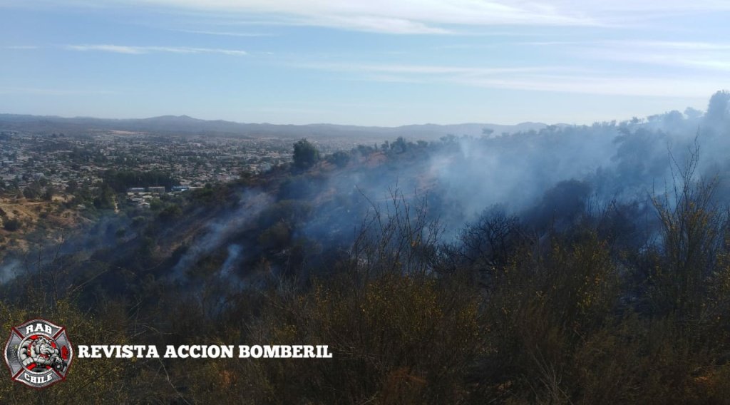 RABCHILE's tweet photo. 🚨Bomberos Villa Alemana🚨

Ahora Nuestro #Rab6 y #Rab34 se encuentran cubriendo Incendio Forestal Declarado en Ignacio Carrera Pinto Con Octava 

Unidades: U-32  U-61  U-153

#Rab
#RevistaAccionBomberil 
#BomberosDeChile. https://t.co/tR2YEXPNyJ