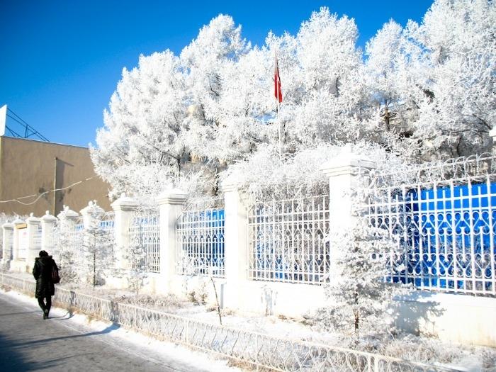 waldrealestate's tweet photo. 9 Coldest Cities In The World Where The Will To Survive Is Stronger Than The Winter Chill
https://t.co/BMF8pIfT65 #snow #wald #waldrealestate #realestate #nyc#newyork #newyorkcity #9cities #cities #city #world #topten https://t.co/8a22Fl6VGh