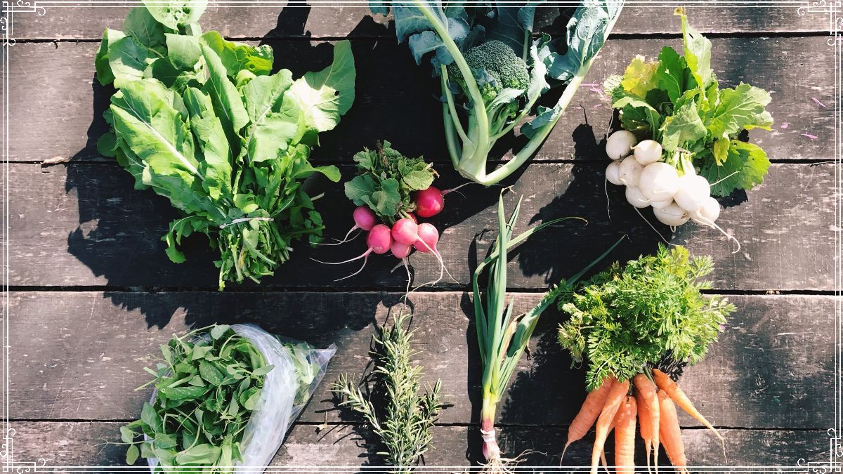 -Winter CSA begins in Just 1 Week!- - mailchi.mp/greengatefarms…