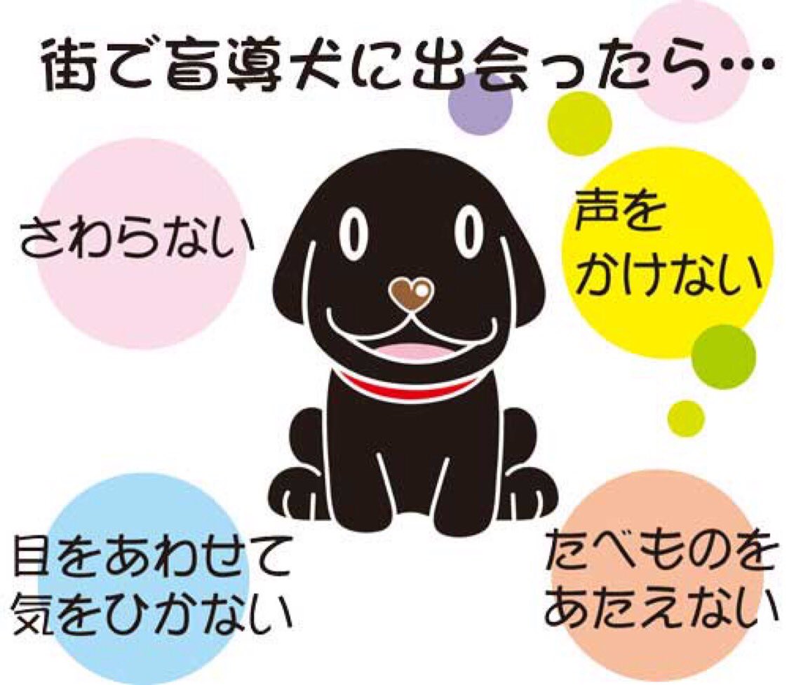 広報かえるくん 盲導犬基礎知識 仕事中の盲導犬には さわらない 声をかけない 目を合わせて気をひかない 食べものをあたえない これに類似する行動も厳禁 口笛などで犬を呼ぶのも絶対ダメ また歩行中はもちろん 信号待ちでも 待機中でも すわっていても