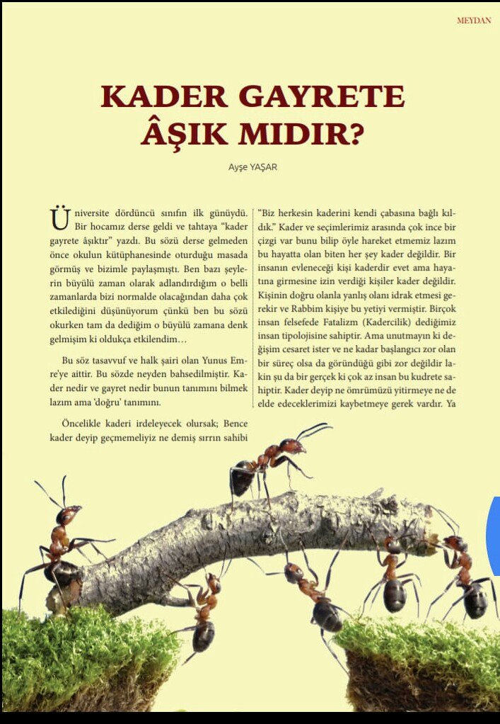 Kader gayrete aşık mıdır??? <a href="/fllankesss/">ezfllankes</a> yazdı...