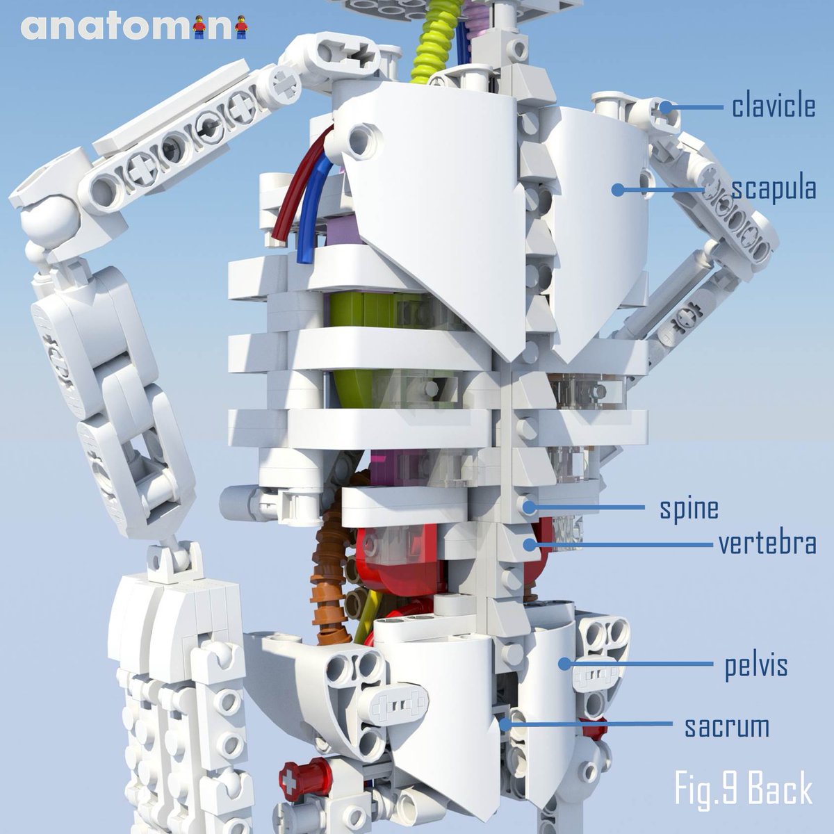 stephanix3D's tweet photo. @RHDijkgraaf @dwdd Mooie uitzending! Daar had #anatomini wel in gepast ๐ https://t.co/YmwHFPfk7i https://t.co/EvNrlSvyyk