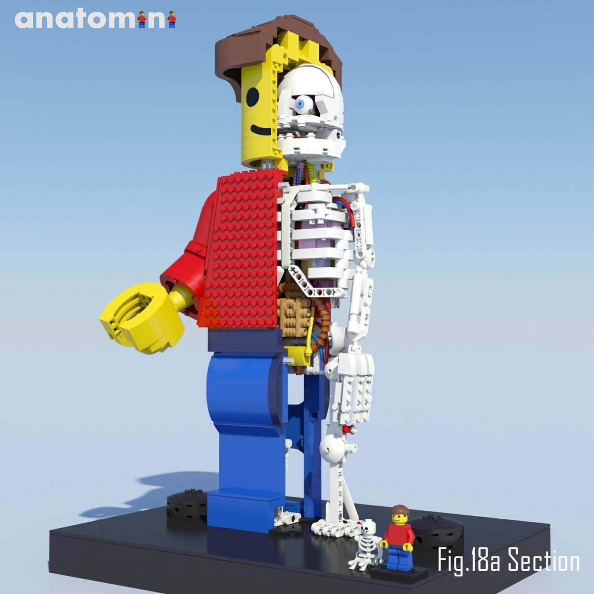 stephanix3D's tweet photo. @RHDijkgraaf @dwdd Mooie uitzending! Daar had #anatomini wel in gepast ๐ https://t.co/YmwHFPfk7i https://t.co/EvNrlSvyyk