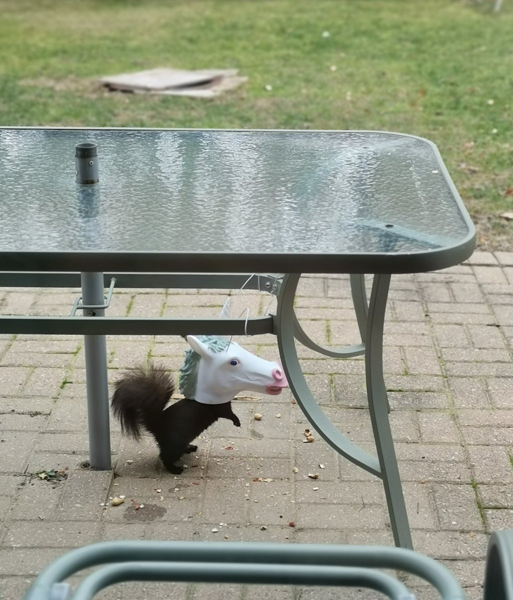 Captain Kidd tweet media