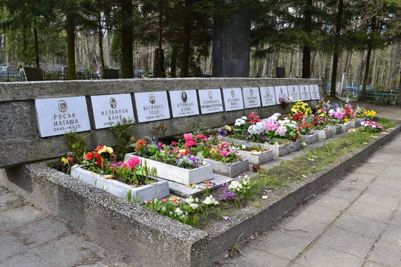 трагедия в светлогорске в 1972 году. катастрофа ан-24 в светлогорске. светлогорск 1972 авиакатастрофа детский сад. авиакатастрофа в светлогорске в 1972 году. светлогорск 1972.