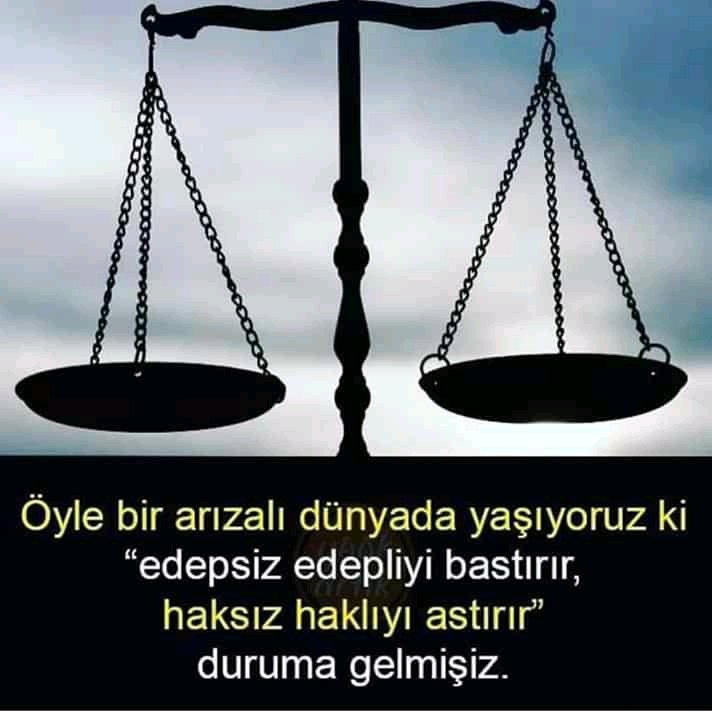 alitoglu12's tweet image. 