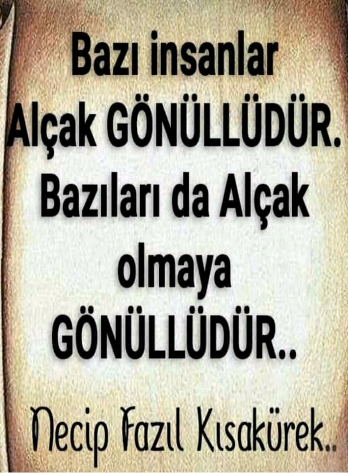 alitoglu12's tweet image. 