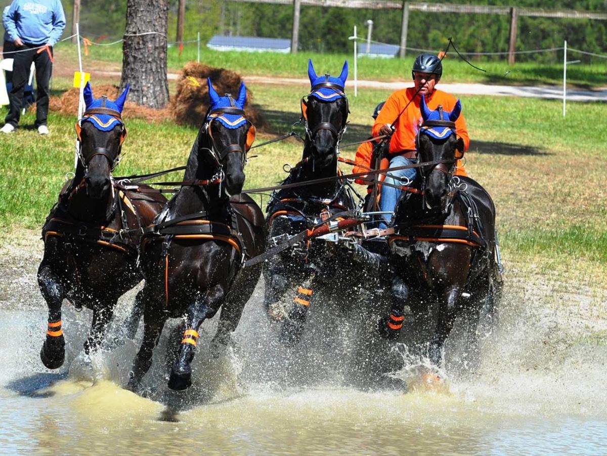 EquineMatch tweet picture