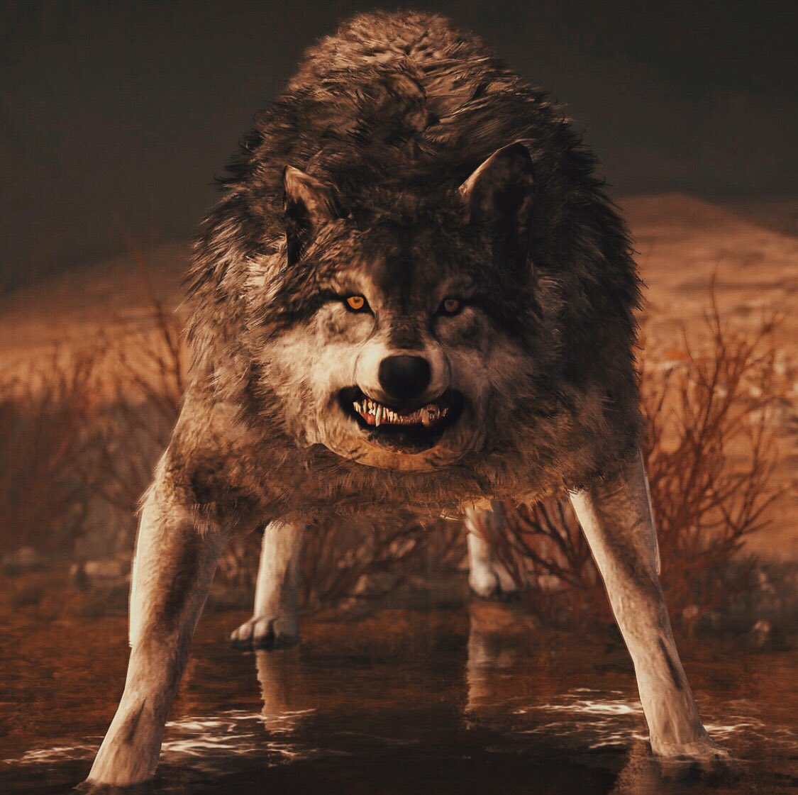 My first shots from Assassins Creeed Odessey, Enjoy! 😊🙏🏼 @ubisoft #ubisoft #assassinscreedodessey #assassinscreed #wildlife #wolf #photomode #dancingwithwolves #sparta #spartans