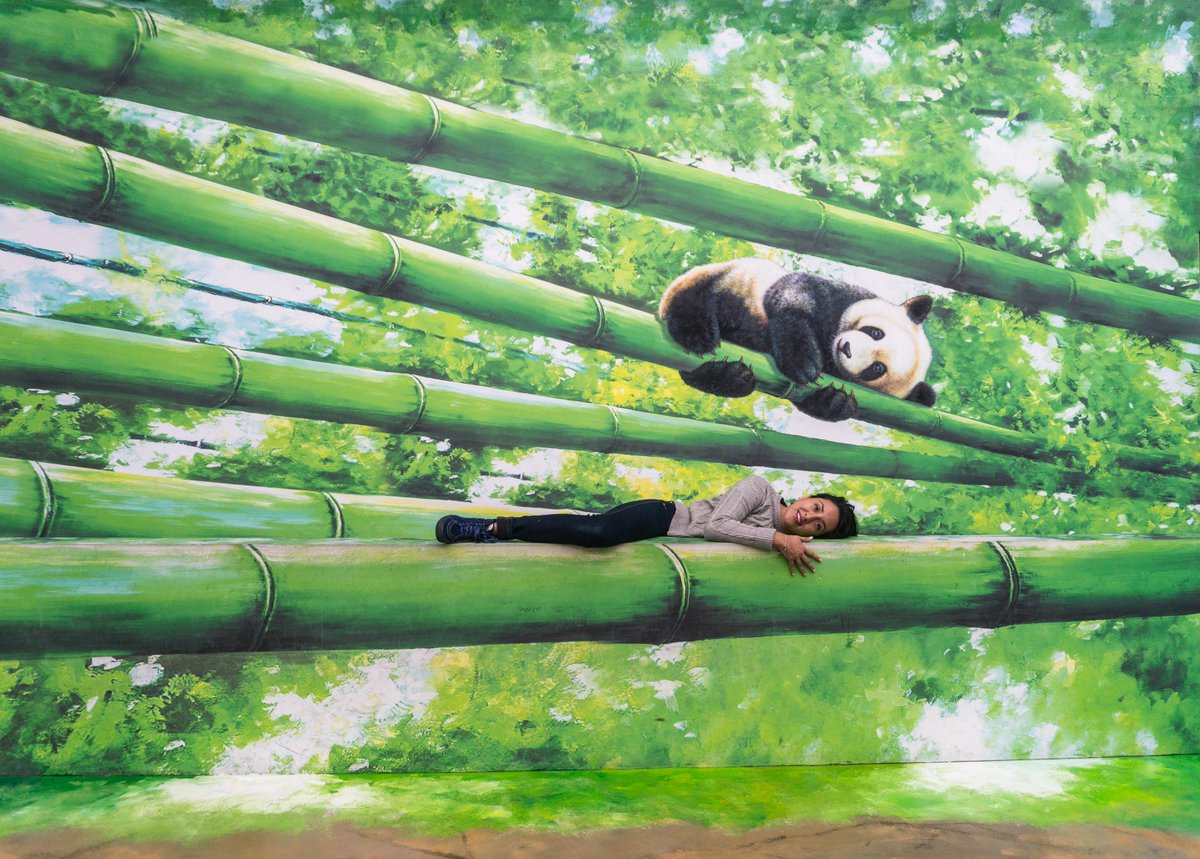 DONDEIRweb's tweet photo. Tómate una foto en las mandíbulas de un tiburón, junto a dinosaurios o junto a adorables pandas en el Museo Trick Eye. Checa los detalles: https://t.co/n4HkrQzfbg https://t.co/PGX4tQFALE
