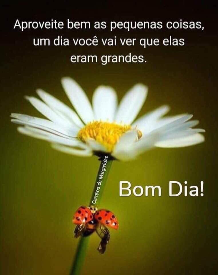 ReadirT's tweet image. youtu.be/hhdH8u9sNQ4