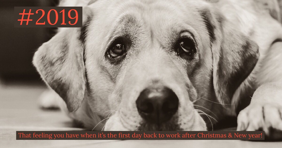 KiddieCarCover's tweet photo. #2019

If it was your first day back to work after the festive period hope it was ok!

https://t.co/rSHhjpE9Wc

#newyear #backtowork #backtoreality #pets #dog #dogsofinstagram #caraccessories #newparents #mums #dads #petowner #shoponline #kiddiecarcover #poochcarcover https://t.co/yLaBoflFhr