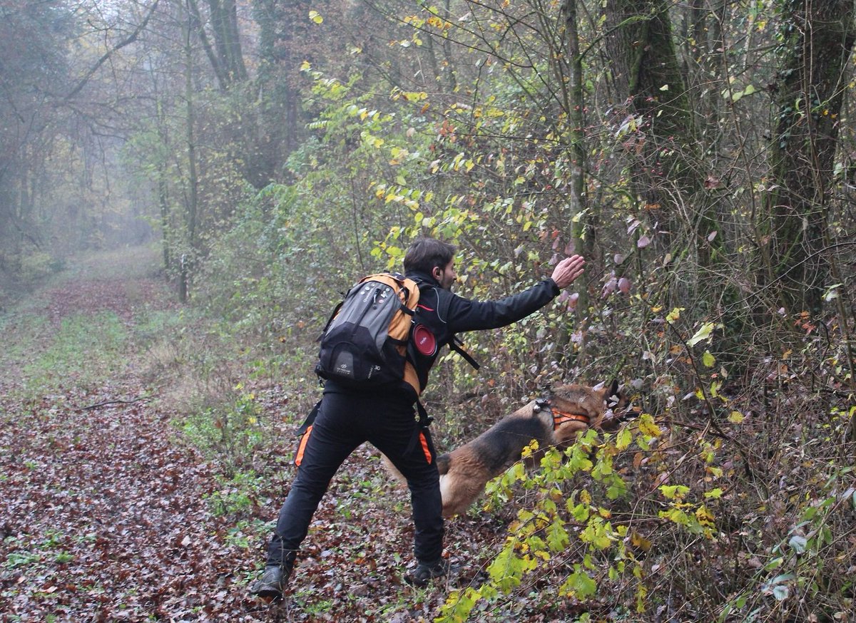 dogstrail's tweet photo. PRESENTAZIONE CORSO PER UCS - RICERCA IN SUPERFICIE - 20 gennaio 2019 ore 10 - Sala Cantoni, Gropello Cairoli PV - Registrazione obbligatoria a: mauro.canziani@dogstrail.it - https://t.co/bT59N75ug1 
Per info: 348.90.38.330 - #dogstrail, #ricercainsuperficie, #corsoricerca https://t.co/w3z7jrPOIu