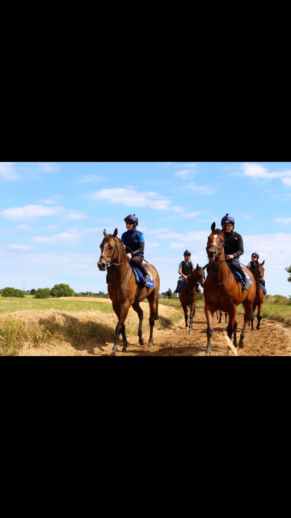 Ado McGuinness Racing tweet media