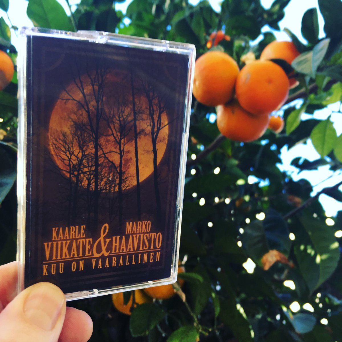 Jytinki is the new orange!🍊
18.1.2019.♠️