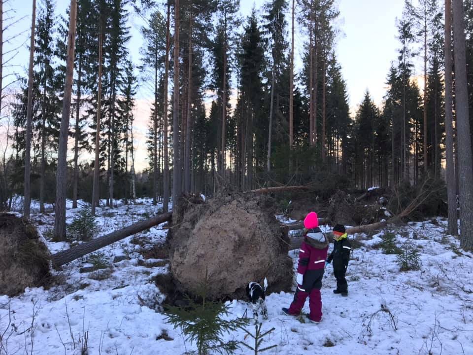 andbal001's tweet photo. Jävla Alfrida.🖕#sthil https://t.co/OKl3srpwel