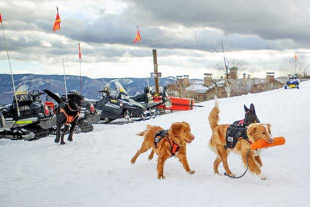 Meet the pups on patrol in #Snowmass that are keeping the slopes safe and the skiers smiling. bit.ly/2Vm6zyO