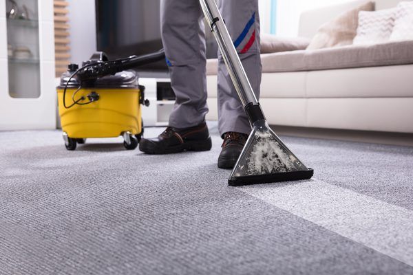 DustFreeCorpNYC's tweet photo. You've probably seen the #RugDoctor #carpetextractor before. Here's how to get the best use out of it should you decide to rent one. https://t.co/XiwGXQyaT7 #cleaningtools #equipmentrentals #preparation #staintreatments #carpetmaterials #carpetcleaning #DustFreeCorp. @SFGate https://t.co/KCuEpSsWBd