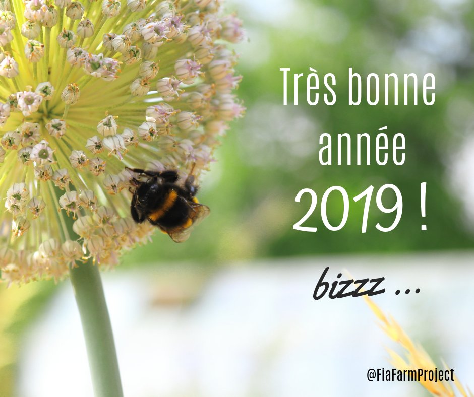 FiaFarmProject's tweet photo. MERCI pour l'année que nous avons passée ensemble, vous avez été si nombreux à nous #soutenir et à partager notre #passion. 
Pour cette nouvelle année 2️⃣0️⃣1️⃣9️⃣, plein de bonnes choses pour chacun d'entre vous ! 😄💛 https://t.co/HCnr30eq12