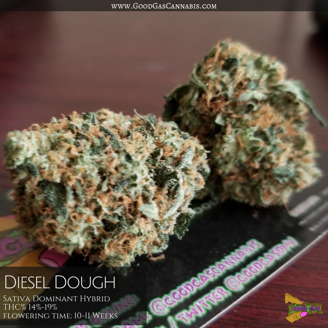 GoodGasCannabis's tweet photo. Strain: Diesel Dough 💪🏾⛽🍪
Type: Sativa Dominant Hybrid 💜
THC% Profile: 11%-20% (16.8%) Rating: ⛽⛽⛽⛽/5⛽
Effects: Relaxing, Uplifting, Body High, Great for Fatigue
#GoodGasCannabis #EndTheStereotype #GAS #GrindAndSacrifice #GoodGas #Cannabis #CannabisCommunity https://t.co/tPzfi52cEo
