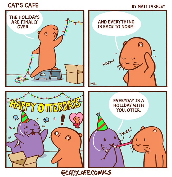Walrus kicking off the #NewYear 