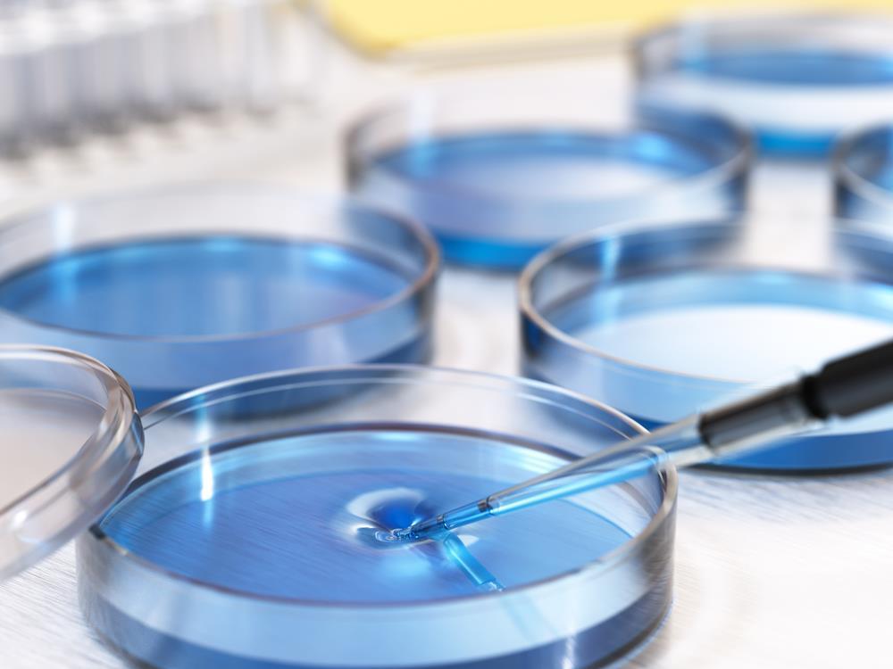 generalcriticsm's tweet photo. Global Zinc Borate Market 2019-2024 : Chemtura, Societa Chimica Larderello, Borax and Wuwei Industrial https://t.co/rWBwZRXrFB https://t.co/4fOvYrk85j