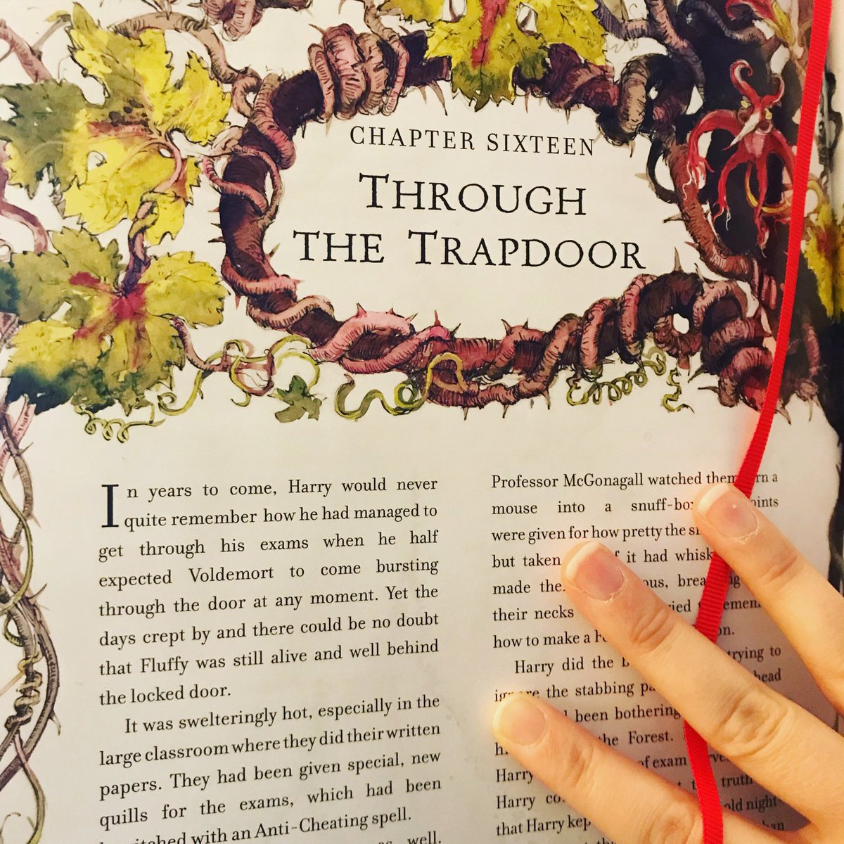 CTWiggins's tweet image. I’m really working on my #oneword2019 today {Balance}.
If you need me ..... I’ll be at Hogwarts. 
Day 2/365