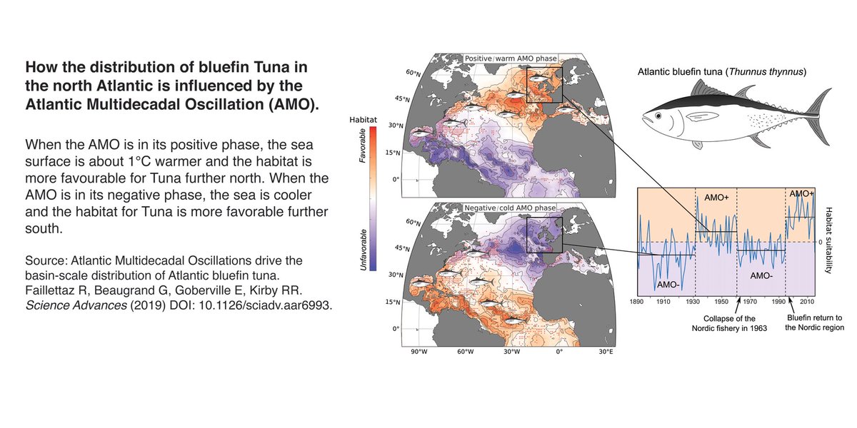 Dr Richard Kirby tweet media