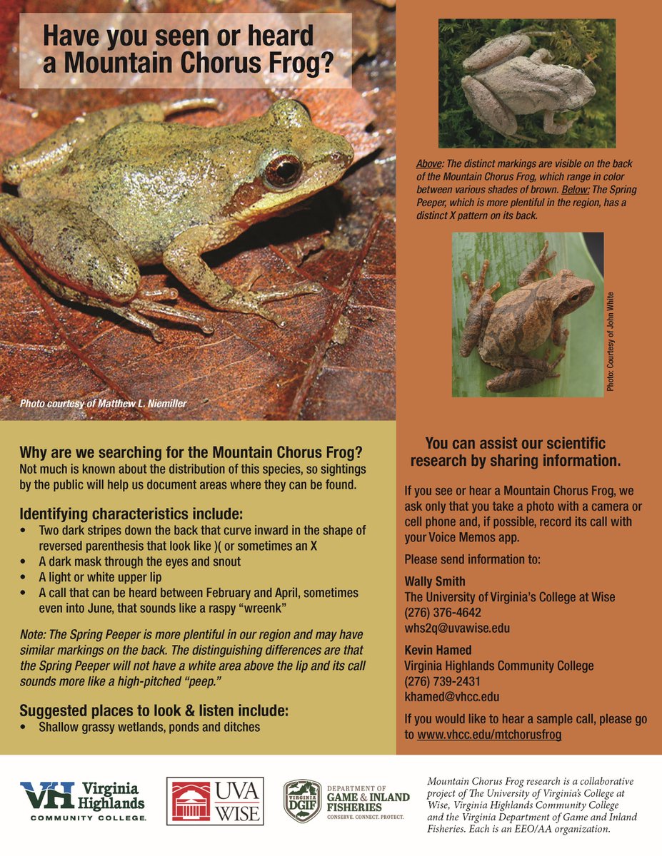 KevinHamed1's tweet photo. Great beginning to 2019 by kicking off our #MountainChorusFrog project! Wally Smith @SWVirginiaCSI & I will spend the next 2 years learning more about the distribution and life history of these frogs. Area teachers - we would love to have you & your students as project partners! https://t.co/Snf0pgAG1W