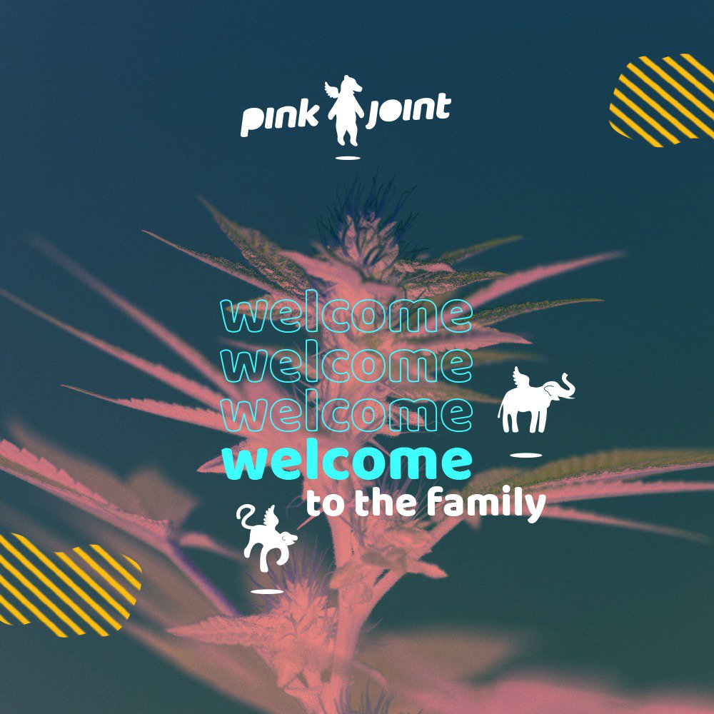 We are a family of cannabis enthusiasts. We’re open-minded individuals working to create and share a world where cannabis is free to enjoy in all its many forms - a world where people like us can feel free from stigma and shame.  #CannabisCommunity #cannabisculture