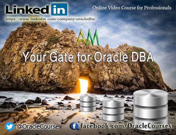 OracleCourse's tweet photo. Take Christmas gift coupons NOW, offer valid till 4 January.2019
Oracle 12c Multitenant Architecture Administration From 195$ to 15$ ,92% discount
a coupon is
https://t.co/kYzVpvHL9w
#Toronto #technology #ThinkAutonomous #techtalksummits #tech #Training
#Tecnologia #trusthive https://t.co/8hw2xGOPuX