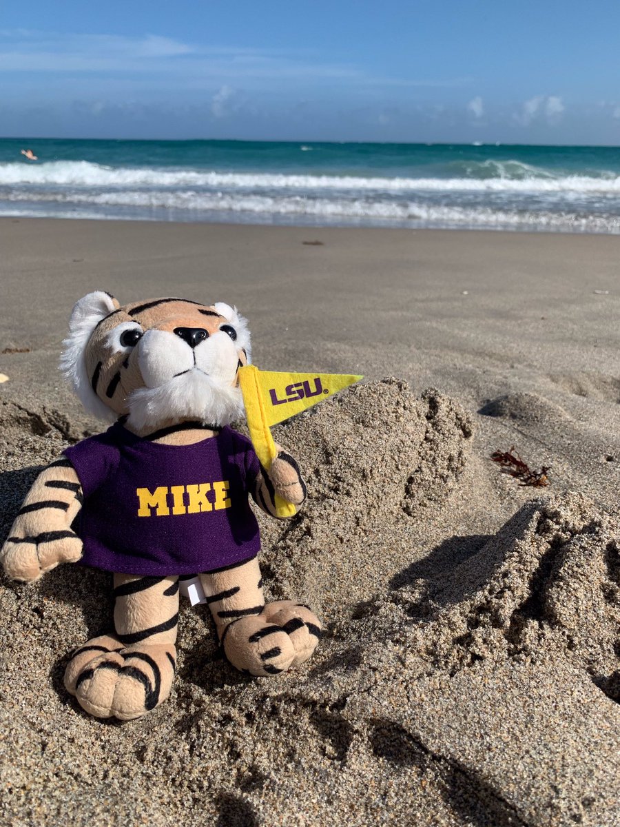 Mike doll sitting at the beach