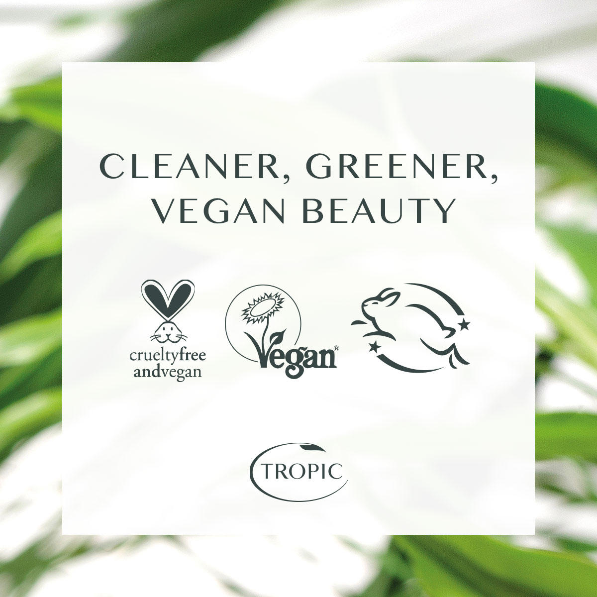 pore cleaner machine