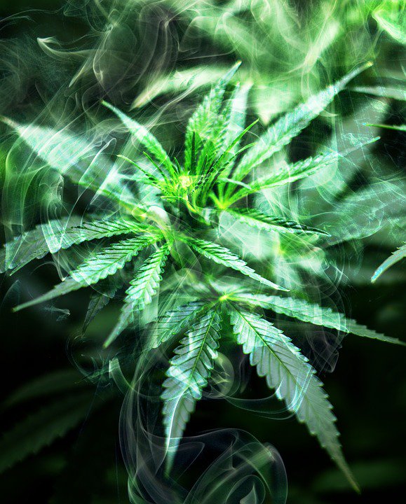 WOOHOO, almost to 2,000 followers! Help us get there today by retweeting!

#CannabisCommunity #CannabisCulture #LegalizeMarijuana