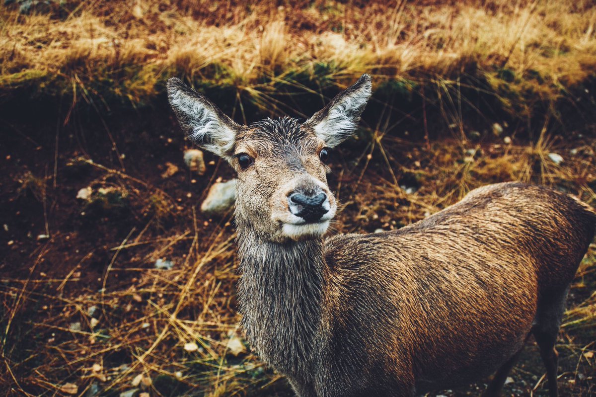 Daniel Casson tweet media