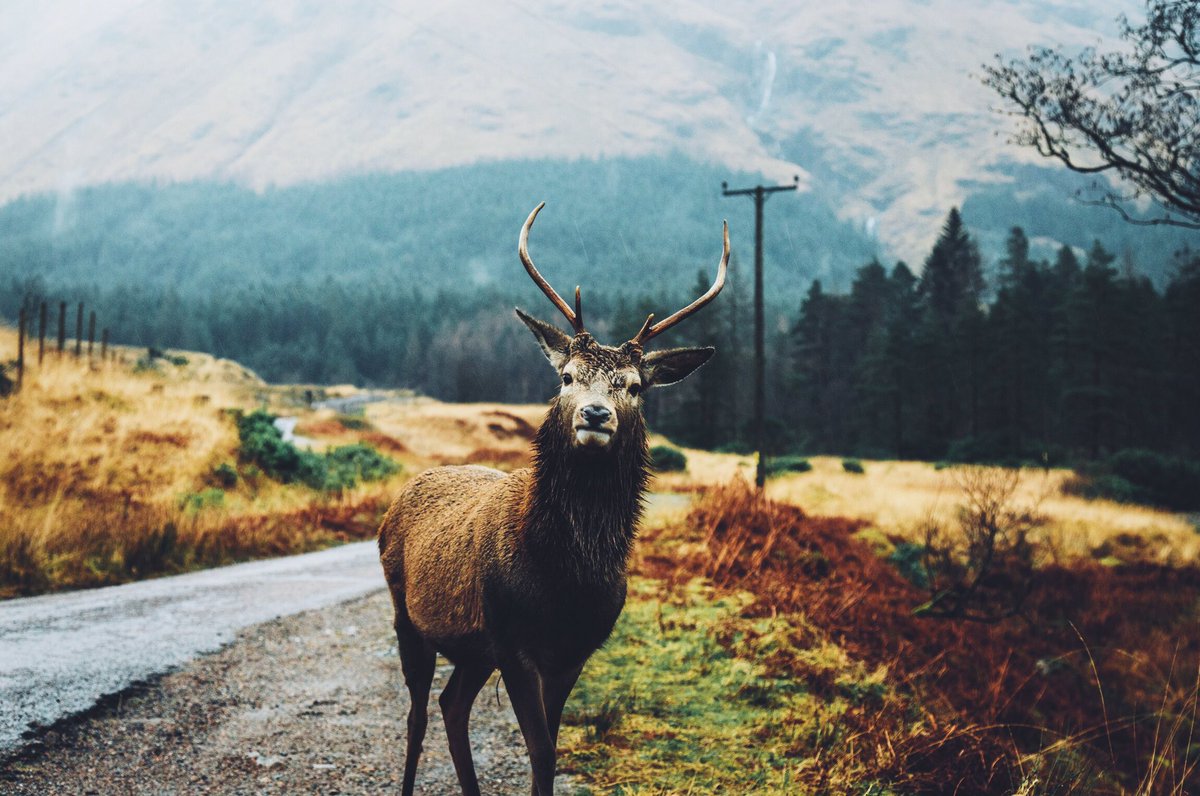 Daniel Casson tweet media