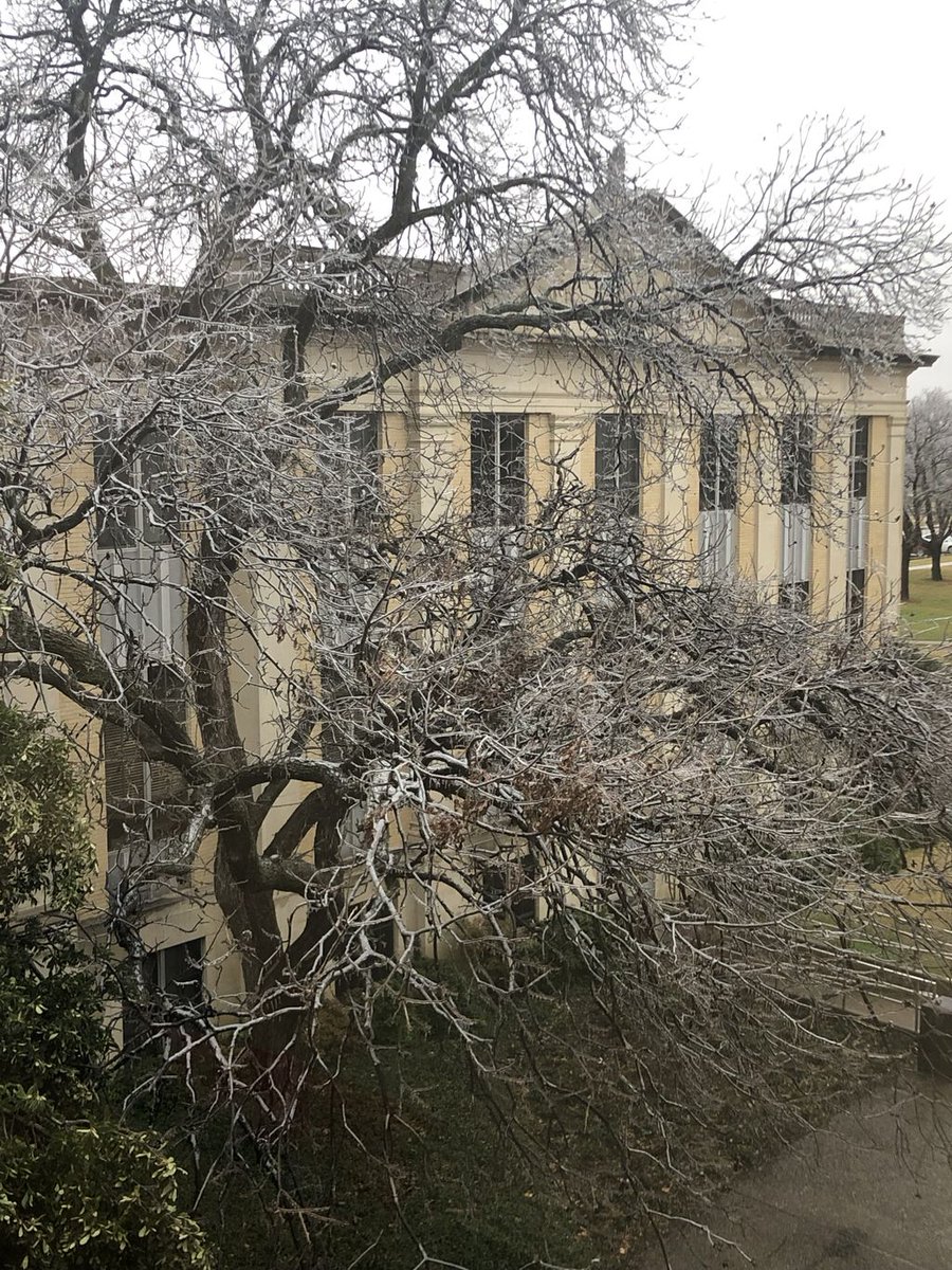 SWBTSlibraries's tweet photo. We are enjoying the view today from the third floor and thankful to be inside! #dfwice https://t.co/TlciW57Gk8